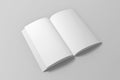 Blank opened 3D illustration of book mock up. Royalty Free Stock Photo