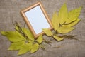 Blank orange frame, yellow leaves and seeds on brown sackcloth background Royalty Free Stock Photo