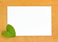 Blank pape and leaf on wooden bords Royalty Free Stock Photo