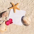 Blank paper beach sand starfish shells summer Royalty Free Stock Photo