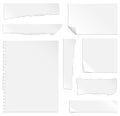 Blank Paper with Bends and Tears Royalty Free Stock Photo