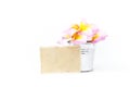 Blank paper card with colorful plumeria flower in the metal bucket