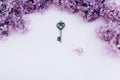 Blank paper card with lilac flowers and vintage key on pink background. Space for text. Flat lay style. Royalty Free Stock Photo