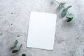 Blank paper card wedding invitation mockup with eucalyptus branches on concrete table