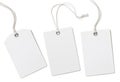 Blank paper cloth labels or price tags set isolated