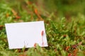 Blank Paper Copy Space on Green Moss Background Macro