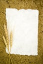 Blank paper with ears wheat Royalty Free Stock Photo