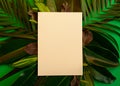 Blank paper in a frame of  leaves of tropical plants on a green background. Royalty Free Stock Photo