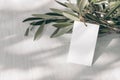 Blank paper gift tag, label mockup with rope and olive tree branch on white table background in sunlight. Summer sale