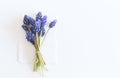 Blank paper greeting card and bouquet blue Muscari flowers.White table background. Flat lay, top view.Flower concept. Royalty Free Stock Photo