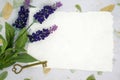 Blank paper with Lavender and old key Royalty Free Stock Photo