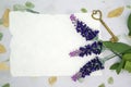 Blank paper with Lavender and old key Royalty Free Stock Photo