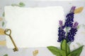 Blank paper with Lavender and old key Royalty Free Stock Photo