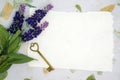 Blank paper with Lavender and old key Royalty Free Stock Photo