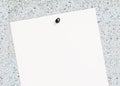 Blank paper leaf on notice board. grey Royalty Free Stock Photo