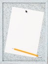 Blank paper leaf on notice board Royalty Free Stock Photo