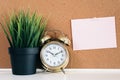 Blank paper note on cork board with golden alarm clock and green plant in pot Royalty Free Stock Photo