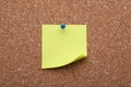 Blank paper note pinned to cork background, closeup Royalty Free Stock Photo