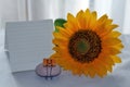 Blank paper note with sunflower. Sunflower on a table with blank notepaper, smiling face paper clip on stone on white background Royalty Free Stock Photo