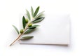 Blank Paper and Olive Branch Isolated on White Royalty Free Stock Photo
