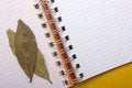 Blank paper for recipes with bay leaf Royalty Free Stock Photo