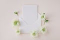 Blank paper sheet card or trendy mockup decorated with natural flowers. Minimal aesthetic invitation template Royalty Free Stock Photo