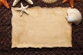 Blank paper sheet and shells on brown fishing net and wooden background Royalty Free Stock Photo