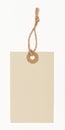 Blank paper tag