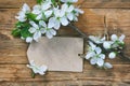 Blank paper tag and branch of a flowering plum Royalty Free Stock Photo
