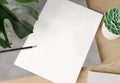 Blank paper on wooden desk Mockup. 3d rendering of A4 empty white sheet on concrete plate with monstera plant, cactus and pencil