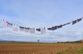 Blank papers on a clothesline Royalty Free Stock Photo