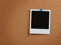 Blank photo at cork board with clipping path Royalty Free Stock Photo