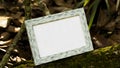 Blank Photo frame over bark in the green forest
