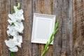 Blank photo frame near flower gladiolus on rustic wooden background top view mockup copyspace Royalty Free Stock Photo