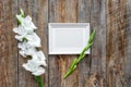 Blank photo frame near flower gladiolus on rustic wooden background top view mockup copyspace Royalty Free Stock Photo