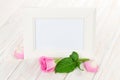 Blank photo frame and pink rose Royalty Free Stock Photo