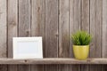 Blank photo frame and plant Royalty Free Stock Photo