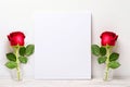 Blank photo frame with red roses in vase on white background Royalty Free Stock Photo