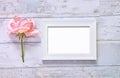 Blank photo frame and white roses Royalty Free Stock Photo