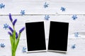 Blank photo frames and spring blue flowers bouquet