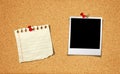 Blank Photo and Notepad on cork board Royalty Free Stock Photo