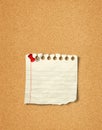 Blank Photo and Notepad with push pin on cork board Royalty Free Stock Photo