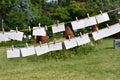 Blank photos on clothesline Royalty Free Stock Photo