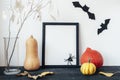 Blank picture frame, hokkaido pumpkins, lunaria dry flowers in glass vase, bats and spider on black table. Mockup, copy Royalty Free Stock Photo