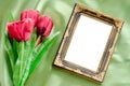 Blank Picture frames and red tulips flowers. Royalty Free Stock Photo