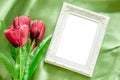 Blank Picture frames. Royalty Free Stock Photo
