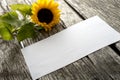 Blank piece of paper and beautiful blooming sunflower