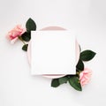 Blank piece of paper on a pink plate surrounded by roses isolated on a white background Royalty Free Stock Photo