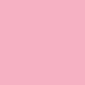 Blank pink color paper square background