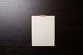 Blank polaroid photo frame with soft shadows and scotch tape  on white paper background as template for graphic designers Royalty Free Stock Photo